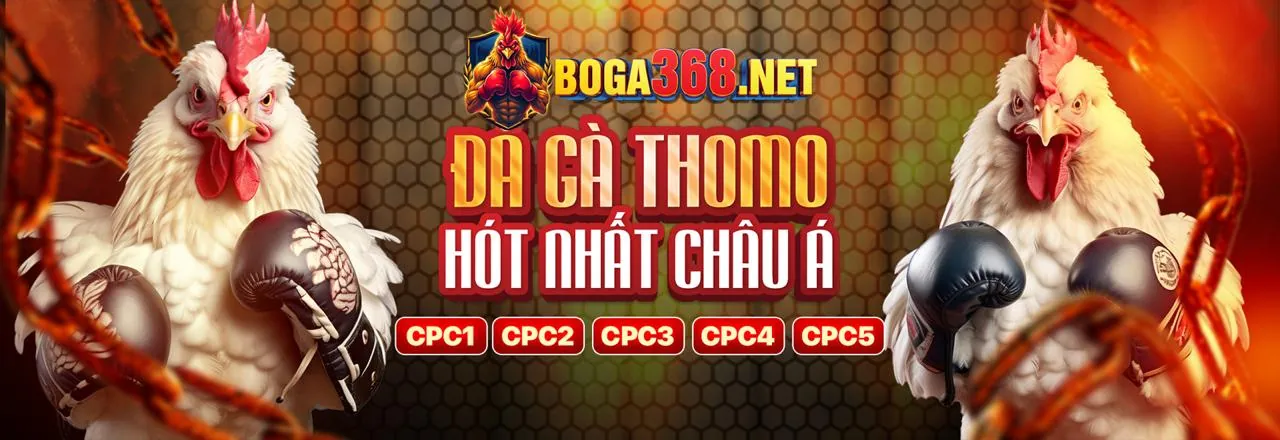 Điều Khoản Dịch Vụ VB66 Trang Chủ Chính Thức