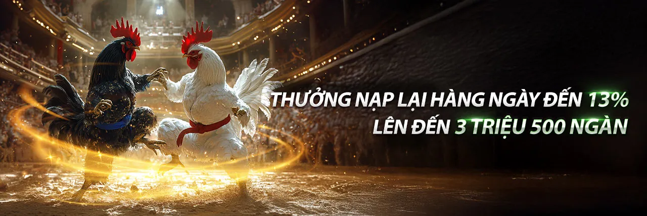 VB66 Trang Chủ Chính Thức 2026 – Khuyến Mãi Hấp Dẫn & Thưởng Lớn Hàng Ngày